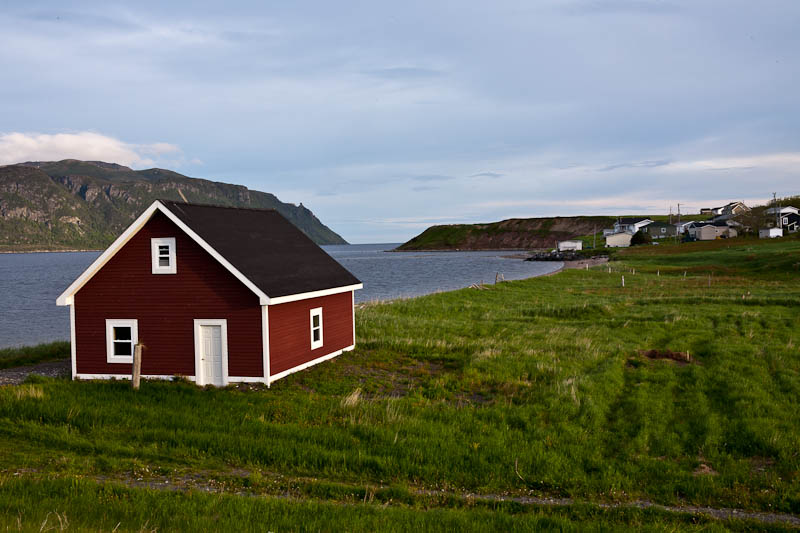 Newfoundland No-0430.jpg